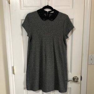 Loft Collared Sweater Dress